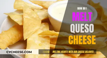 Melting Queso Cheese: A Quick Guide to Deliciousness
