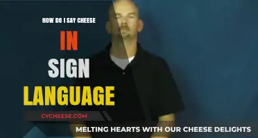 Say Cheese in Sign Language: A Quick and Easy Guide