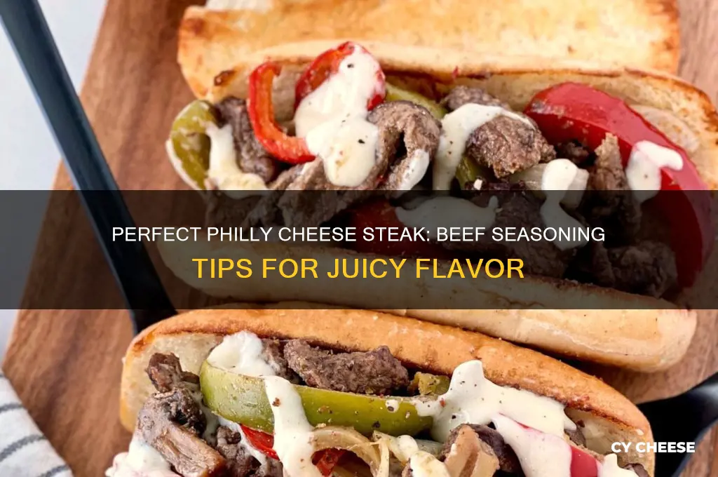 how do i season beef for philly cheese steak