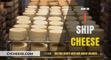 Shipping Cheese Safely: Expert Tips for Perfect Delivery Every Time