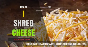 Mastering the Art of Shredding Cheese: Tips and Techniques