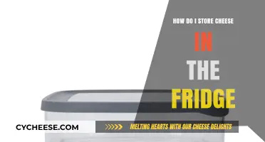 Mastering Cheese Storage: Optimal Fridge Tips for Freshness & Flavor