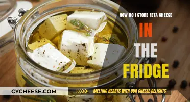 Storing Feta Cheese: Best Practices for Your Fridge
