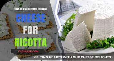 Cottage Cheese vs. Ricotta: Perfect Swaps for Creamy Recipes