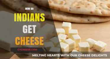 Cheese and India: A Cultural Fusion