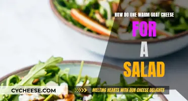 Warm, Gooey Delight: Goat Cheese Salad Perfection