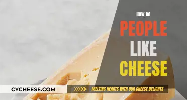Cheese Appreciation: A Universal Taste Sensation