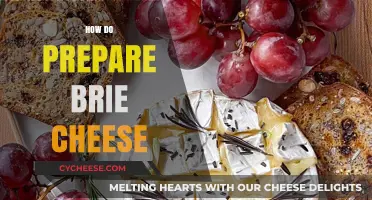 Mastering Brie: A Step-by-Step Guide to Preparing Creamy Brie Cheese