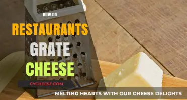 Mastering the Art: How Restaurants Grate Cheese for Perfect Dishes