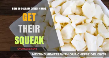 The Science Behind Squeaky Cheese Curds' Signature Sound