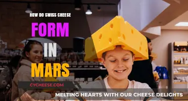 Swiss Cheese on Mars: A Mystery Explained