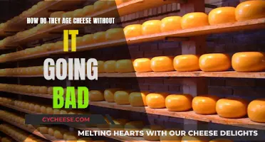 Aging Cheese: The Science Behind Long-Lasting Deliciousness