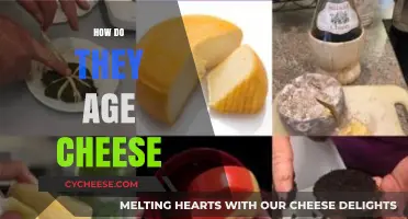 The Art of Aging Cheese: Techniques, Time, and Transformation