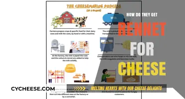 The Mystery Behind Rennet's Role in Cheesemaking