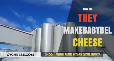 Unveiling the Craft: How Babybel Cheese is Made and Packaged