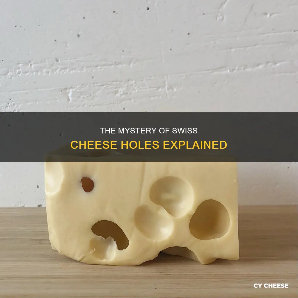 how do they put holes in swiss cheese