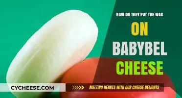 The Mystery of Babybel's Wax Coating Revealed