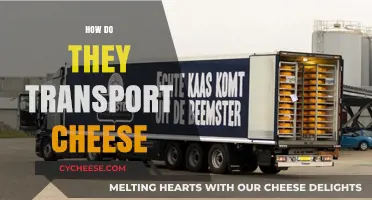 From Dairy to Doorstep: The Fascinating Journey of Cheese Transportation