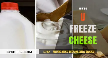 Master the Art: How to Freeze Cheese Perfectly Every Time