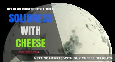 Mastering Cheese Texture: Techniques for Achieving Varied Solidness Levels