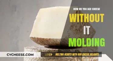 Prevent Mold: Master the Art of Aging Cheese Safely