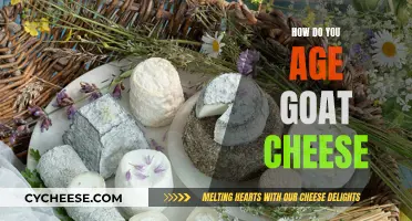 Mastering the Art of Aging: Tips for Perfectly Ripened Goat Cheese