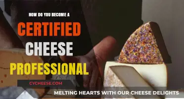 Mastering Cheese Expertise: Steps to Become a Certified Cheese Professional
