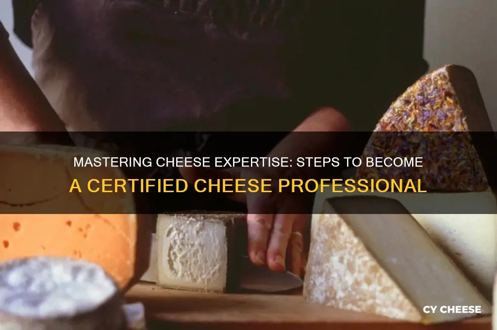 how do you become a certified cheese professional