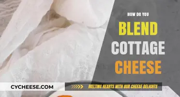Mastering Cottage Cheese Blending: Tips for Smooth and Creamy Results