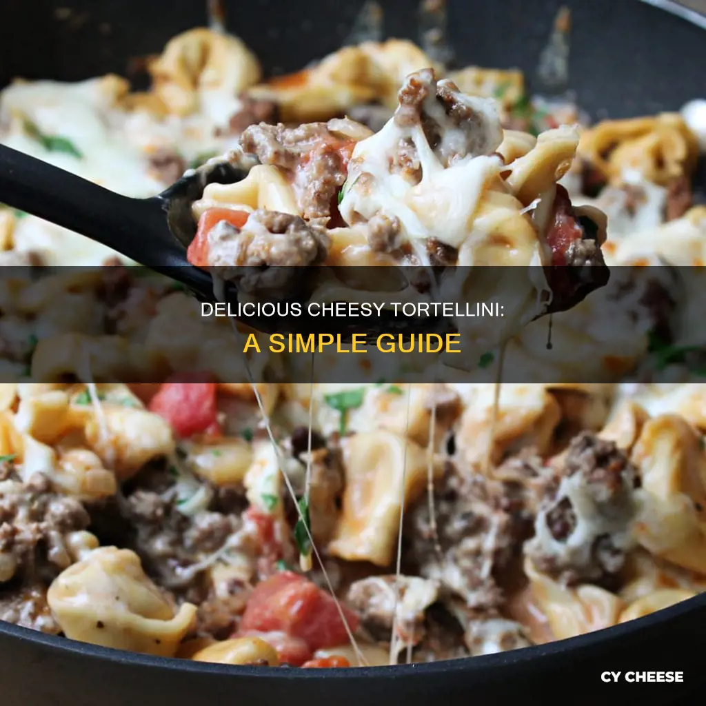 how do you cook five cheese tortellini