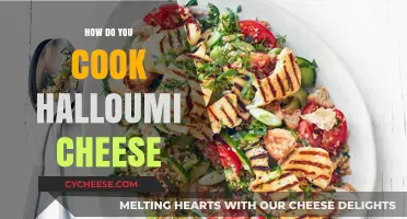 The Ultimate Guide to Cooking Halloumi Cheese