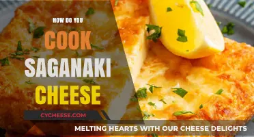 The Art of Cooking Saganaki Cheese