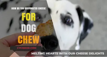Dehydrating Cheese for Dog Chews: A Simple DIY Guide