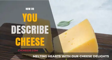 Exploring Cheese: Texture, Flavor, and Aromatic Profiles of Dairy Delights