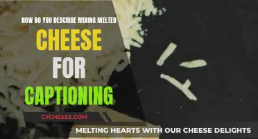 Mouthwatering Melty Cheese: Capturing the Perfect Cheesy Mix