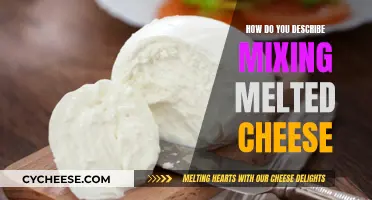 Cheese Pull: Melty, Stretchy, Gooey Goodness