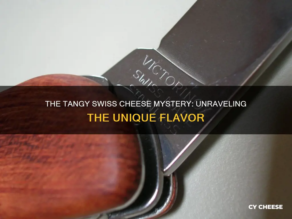 how do you describe the tang in swiss cheese