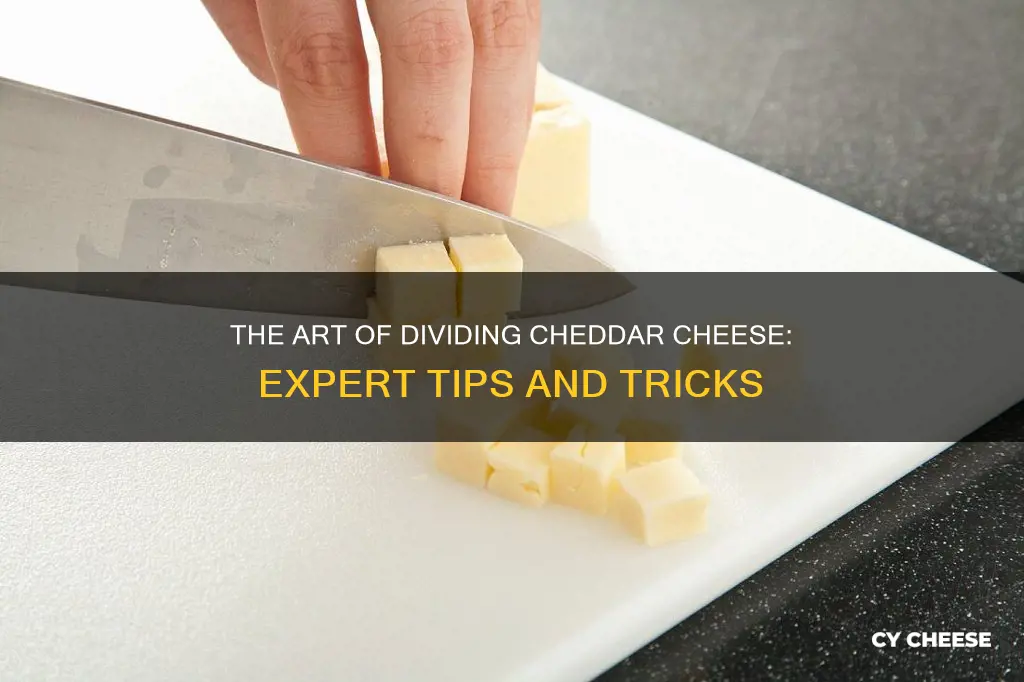 how do you divided cheddar cheese