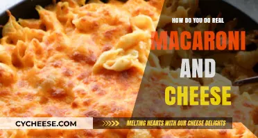 Macaroni and Cheese: The Ultimate Comfort Food Guide