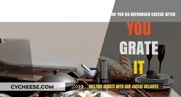 Mastering Grated Refrigerator Cheese: Storage Tips for Freshness and Flavor