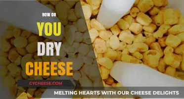 Mastering the Art of Drying Cheese: Techniques for Perfect Preservation
