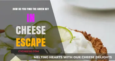 Discovering the Green Key in Cheese Escape: A Step-by-Step Guide