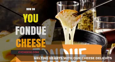 Mastering the Art of Melting Cheese: A Fondue Lover's Guide