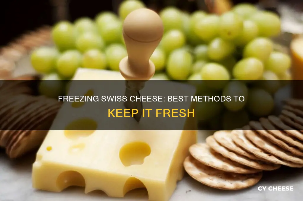 how do you freeze swiss cheese