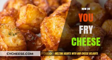 Mastering the Art of Crispy, Melty Fried Cheese: A Step-by-Step Guide