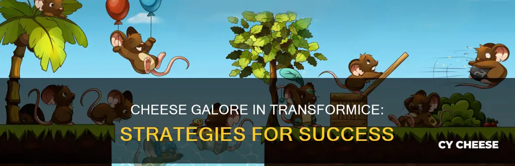 how do you get alot of cheese in transformice