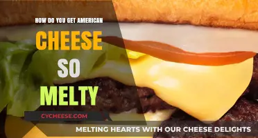 The Melty Magic of American Cheese