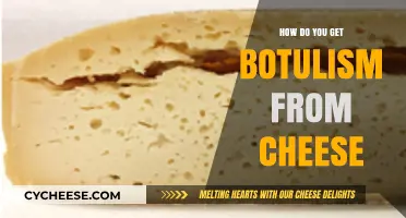 Cheese and Botulism: What You Need to Know