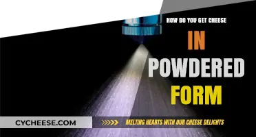 The Magic of Powdered Cheese: From Block to Dust