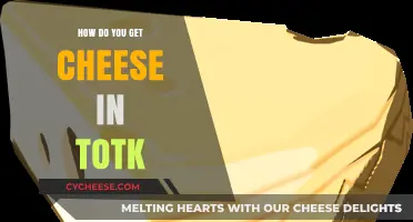 Totk: Unlocking the Cheese Mystery